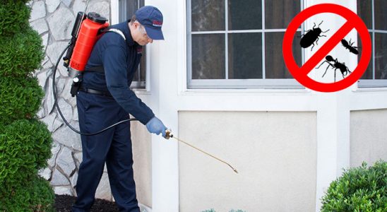 Köprüköy Pire İlaçlama böcek ilaçlama ve haşere kontrolü — ilaclama-tr.com